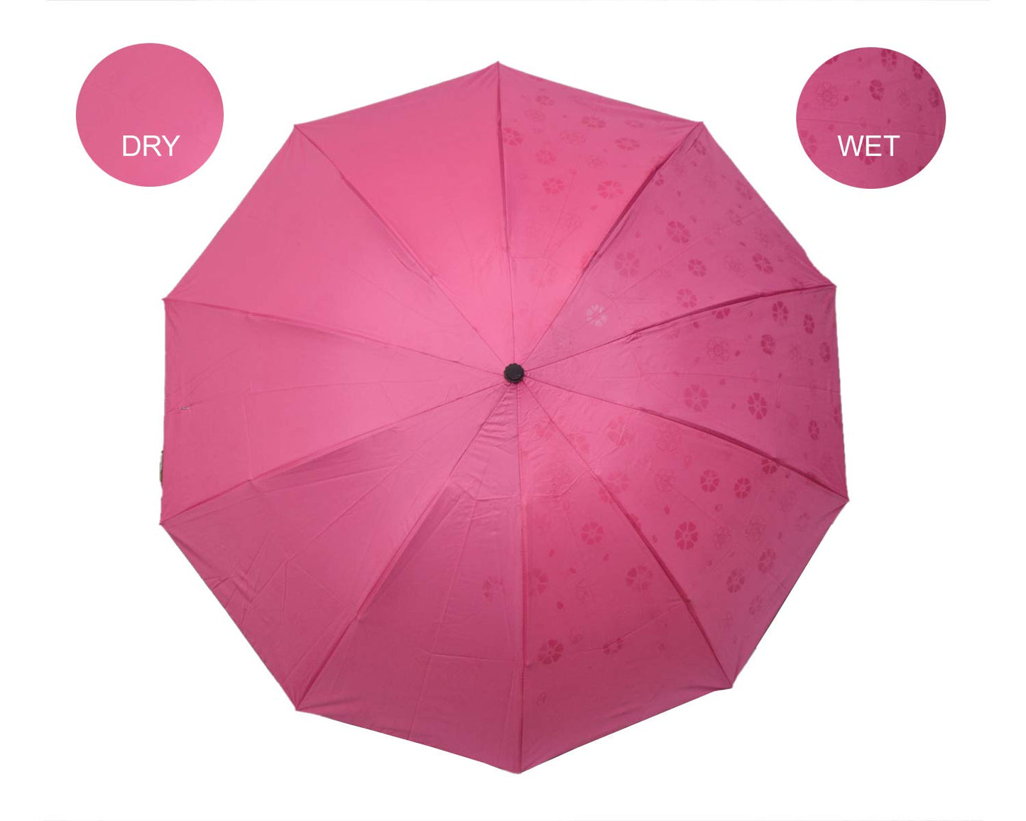 Water Begin Bloom Magic Compact Sun Travel Umbrellas for Women, Best Size, Anti-Uv Dome Shape, Sun/Rain Umbrella (Pack of 1)