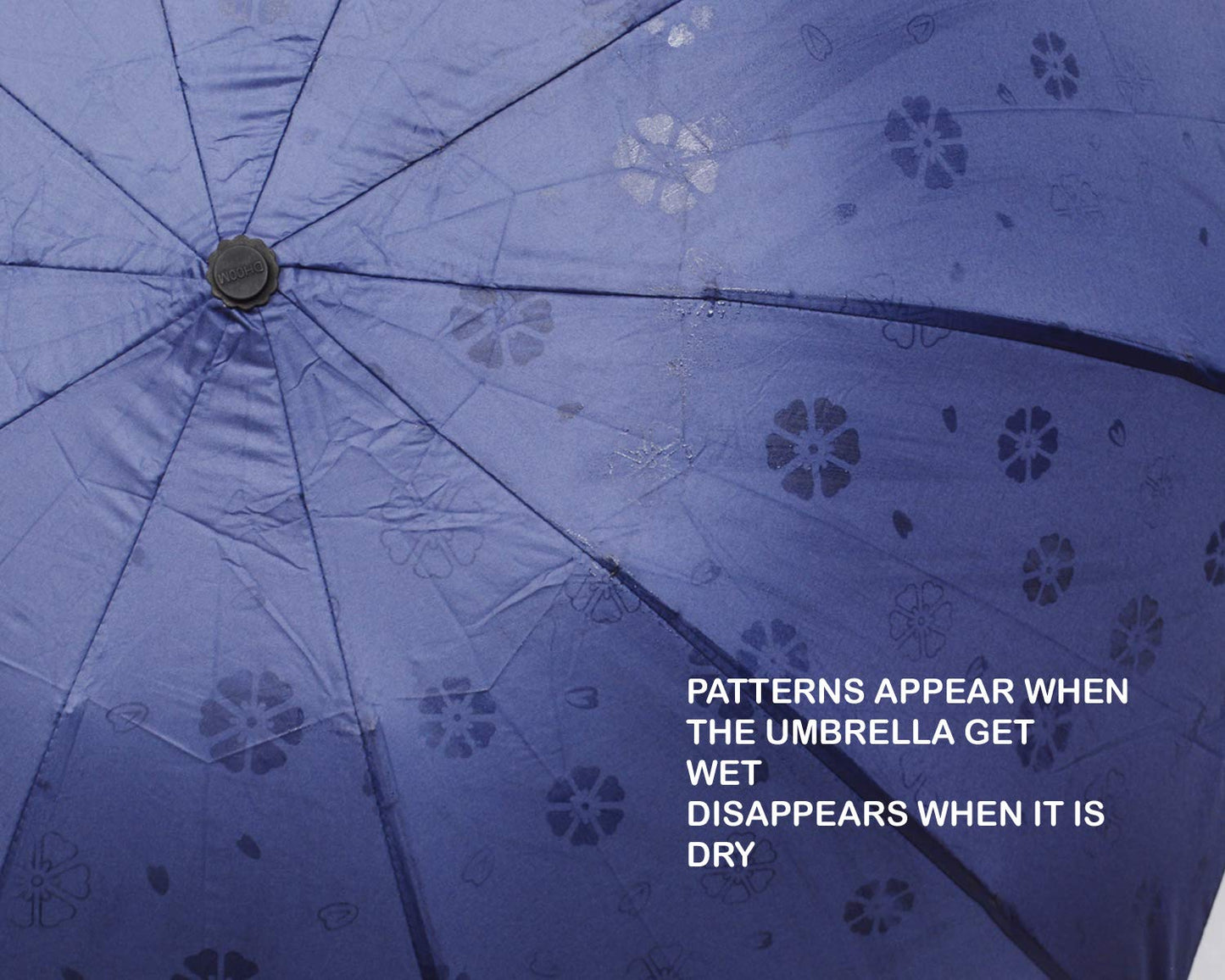 Water Begin Bloom Magic Compact Sun Travel Umbrellas for Women, Best Size, Anti-Uv Dome Shape, Sun/Rain Umbrella (Pack of 1)