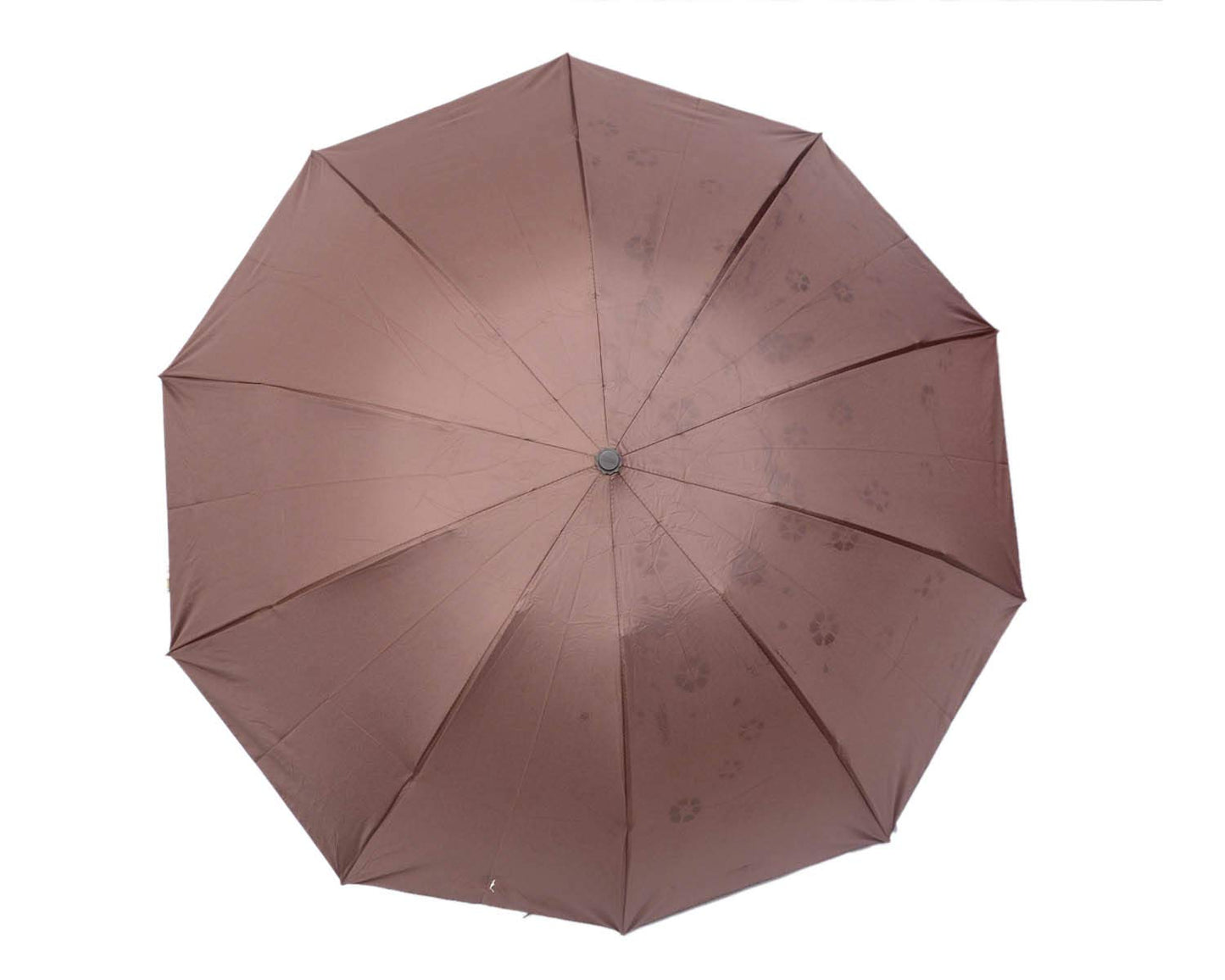 Water Begin Bloom Magic Compact Sun Travel Umbrellas for Women, Best Size, Anti-Uv Dome Shape, Sun/Rain Umbrella (Pack of 1)
