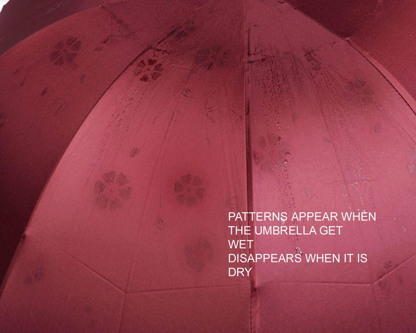 Water Begin Bloom Magic Compact Sun Travel Umbrellas for Women, Best Size, Anti-Uv Dome Shape, Sun/Rain Umbrella (Pack of 1)
