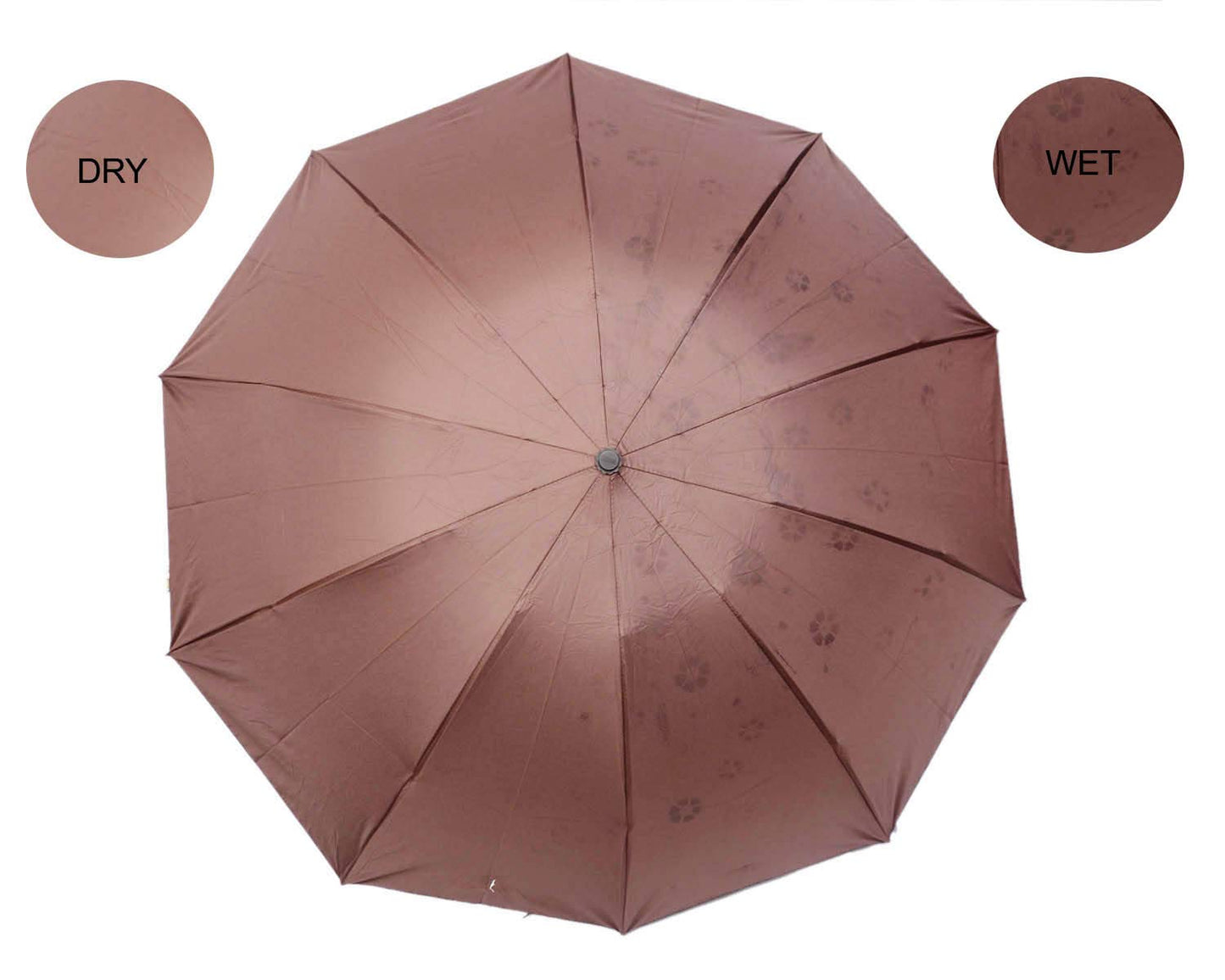 Water Begin Bloom Magic Compact Sun Travel Umbrellas for Women, Best Size, Anti-Uv Dome Shape, Sun/Rain Umbrella (Pack of 1)